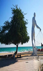 ساحل مرد ماهیگیرکیش