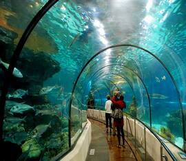 آکواریوم کیش